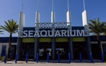 Último día del Miami Seaquarium: tristeza para algunos, alegría para otros