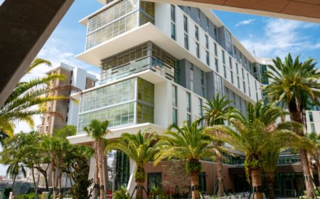 How much does it cost to be a Cane?