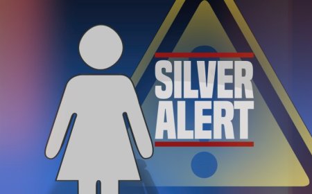 Silver Alert canceled: Missing woman with dementia found safe