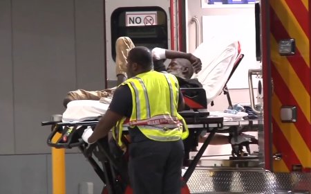 Man in wheelchair hospitalized after hit and run in Liberty City, police searching for driver responsible