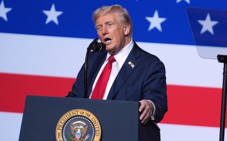 Trump says Dems who told military to defy illegal orders committed 'sedition at the highest level'