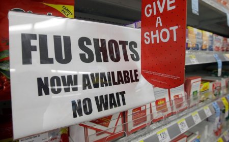 Why ‘subclade K’ could make for a nasty flu season