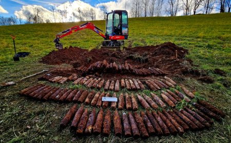 Father and son’s metal detecting trip uncovers historic artillery cache in Czech forest