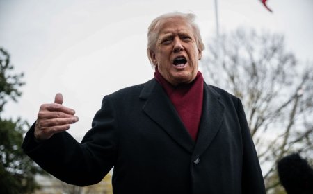 President says Chicagoans are ‘chanting bring in Trump’ after violent downtown riot leaves 8 shot, 1 dead