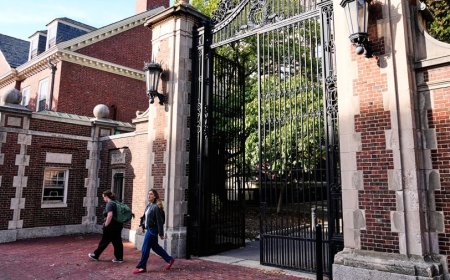 Larry Summers's Epstein ties drag Harvard back into the spotlight