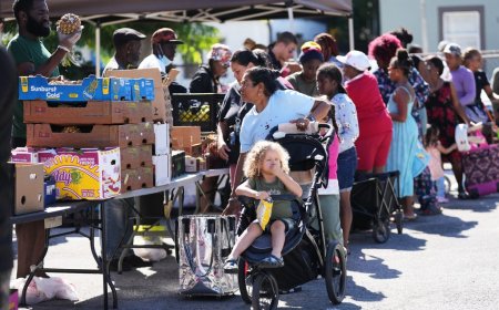 Our global food system is utterly broken. Here’s how to fix it.