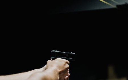 Homeowner Opens Fire on Alleged Home Intruders, Killing One