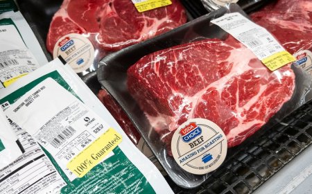 Will rising beef prices ever come down? Here's what experts say