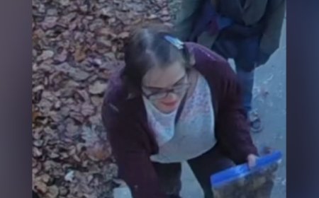 Slender Man stabbing attacker missing in Wisconsin after cutting off GPS monitor