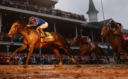 Ambulance Darts Through Live Horse Race In Absolutely Wacky Video