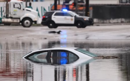 Video Shows Vietnam War Veteran Rescued After Getting Trapped In Flooded California Street