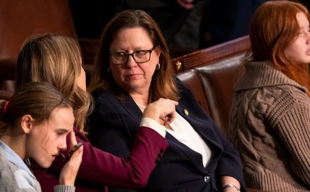 Texas House Democrat: Current district not 'viable' if Supreme Court upholds new map