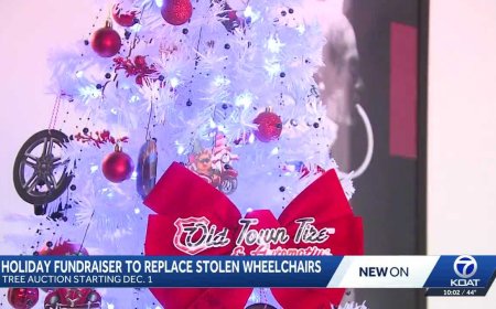 17 wheelchairs stolen; holiday tree auction aims to replace what was lost