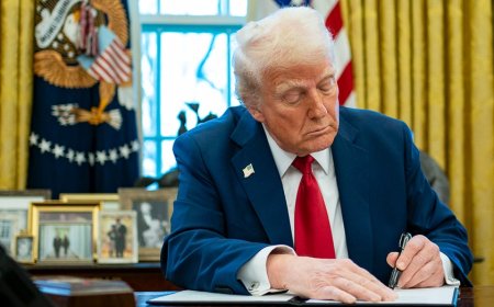 Trump signals plan to designate Muslim Brotherhood a terrorist organization