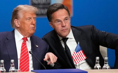 NATO chief 'sure' Trump's Ukraine-Russia peace plan will succeed despite 'difficult' talks