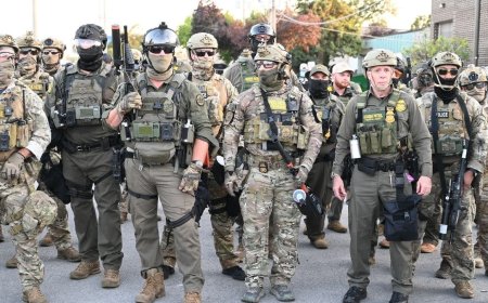 Border Patrol Heads To Another Blue City In Latest Round Of Illegal Immigration Sweeps