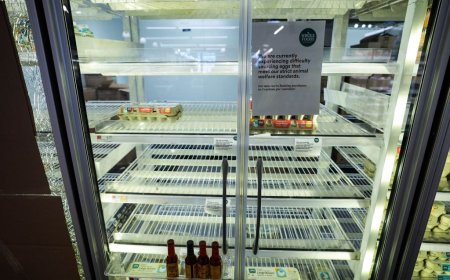 First death reported from rare bird flu strain