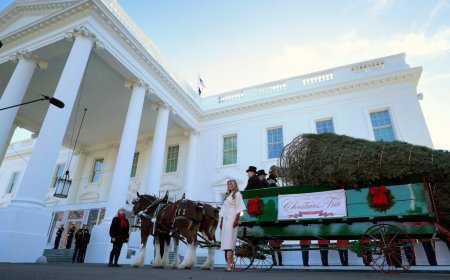 Melania Trump accepts WH Christmas tree from Michigan: ‘It will be beautiful!’