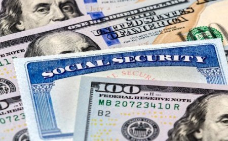 Witness the Catastrophic Results of Identity Theft by Illegal Immigrants