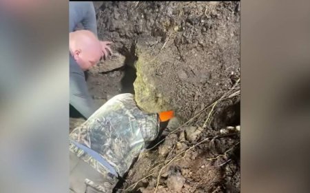VIDEO: Missouri firefighters rescue dog trapped in hole