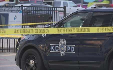 Kansas City officer run over by suspect during 'armed car prowler' call