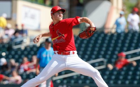 The Viva El Birdos Podcast: Episode 43 40-Man Roster and Non-tender Decisions