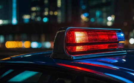 Preston Hollow Crime Reports Nov. 17-23