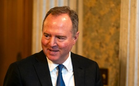 Schiff: 2025 Thanksgiving turkey price up 'whopping 40 percent'