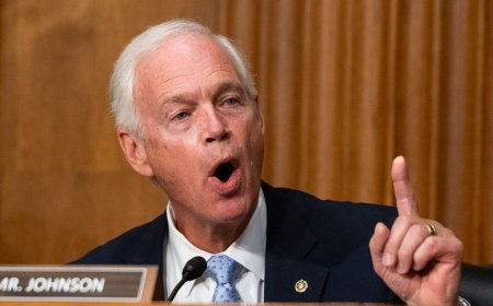 Ron Johnson shoots down tariff checks