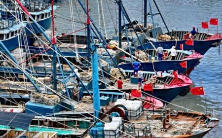 Report: Illegal Chinese Fishing Causing $800 Million in Damages in Peru