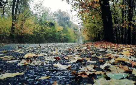 Gloomy Tuesday gives way Turkey Day sun, cold & wet weekend to follow