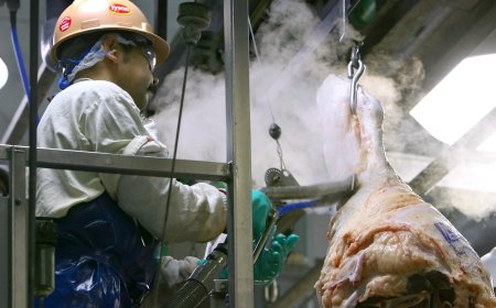 Tyson's beef plant closure in Nebraska will impact a reliant town and ranchers nationwide