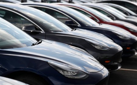 Lawsuit blames Tesla design flaws for crash that killed Washington state woman, injured her husband