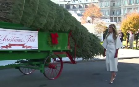 Melania Trump welcomes Christmas tree to the White House