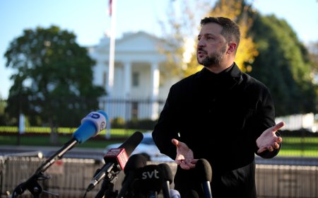 The Dangerous, Unhinged Reaction to Trump’s Ukraine Peace Plan