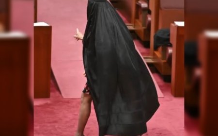 Australian Senator Pauline Hanson Censured, Barred for 'Racist' Burqa with High Heels Protest