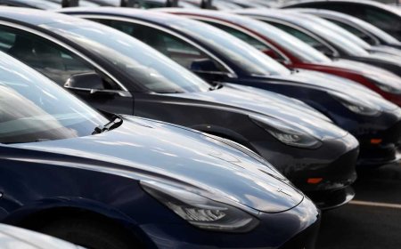 Lawsuit blames Tesla design flaws for crash that killed woman, injured her husband