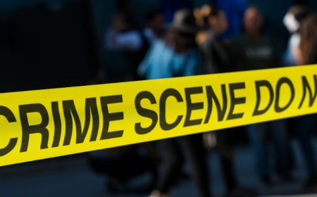 Park Cities Crime Reports Nov. 17-23