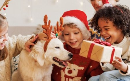 Experts share tips to help families of small children navigate holiday stress