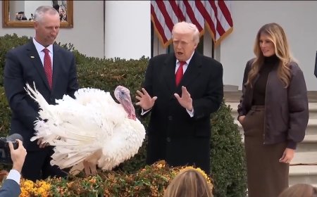 Trump spares turkeys — but not his political opponents — at annual pardoning ceremony