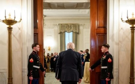 Trump Looks to Bring Ukraine Peace Deal in for Landing