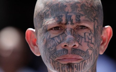 New San Antonio Sweep Nets 51 Confirmed TdA Criminals