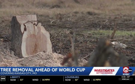 MoDOT removing trees from interstate interchanges and medians ahead of World Cup