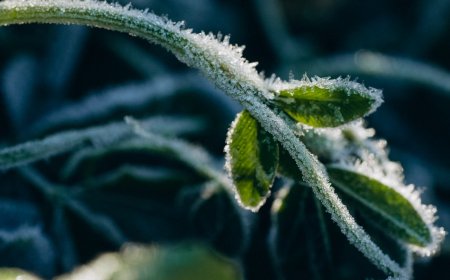 Cold weather locking in next several days