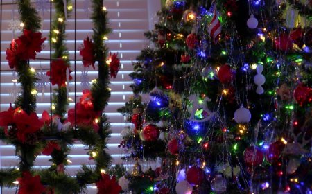 Hutchinson home celebrates Christmas with more than 40 decorated trees