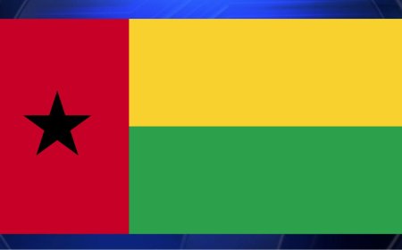 Soldiers in Guinea-Bissau appear on state television saying they have seized power in the country