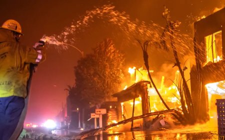 The Bureaucratization Of Everything Hitting Americans Where It Hurts The Most