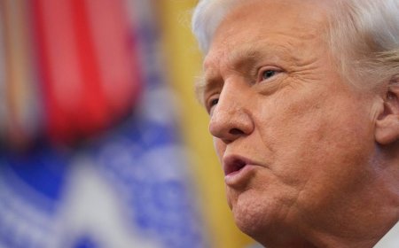 Trump: 'Animal' who shot National Guard members 'will pay a very steep price'