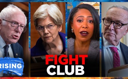 Senate Dems revolt against Schumer, form 'Fight Club' for new playbook 