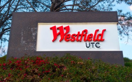 Coyote mauls 3-year-old girl near San Diego shopping mall 